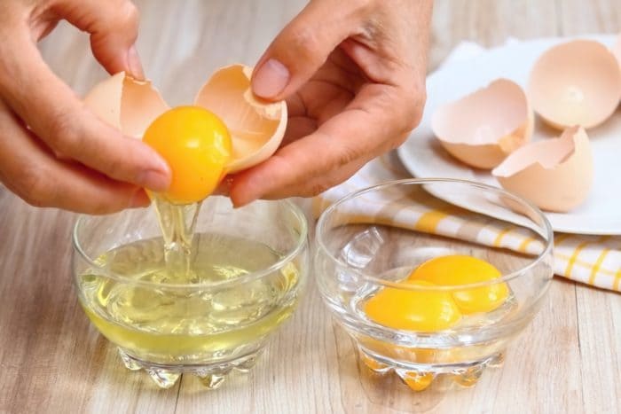 cibo sostitutivo dell'uovo