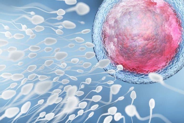 L'analisi dello sperma è un test di fertilità maschile