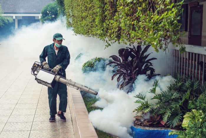 annebbiamento di gas in zanzare di dengue
