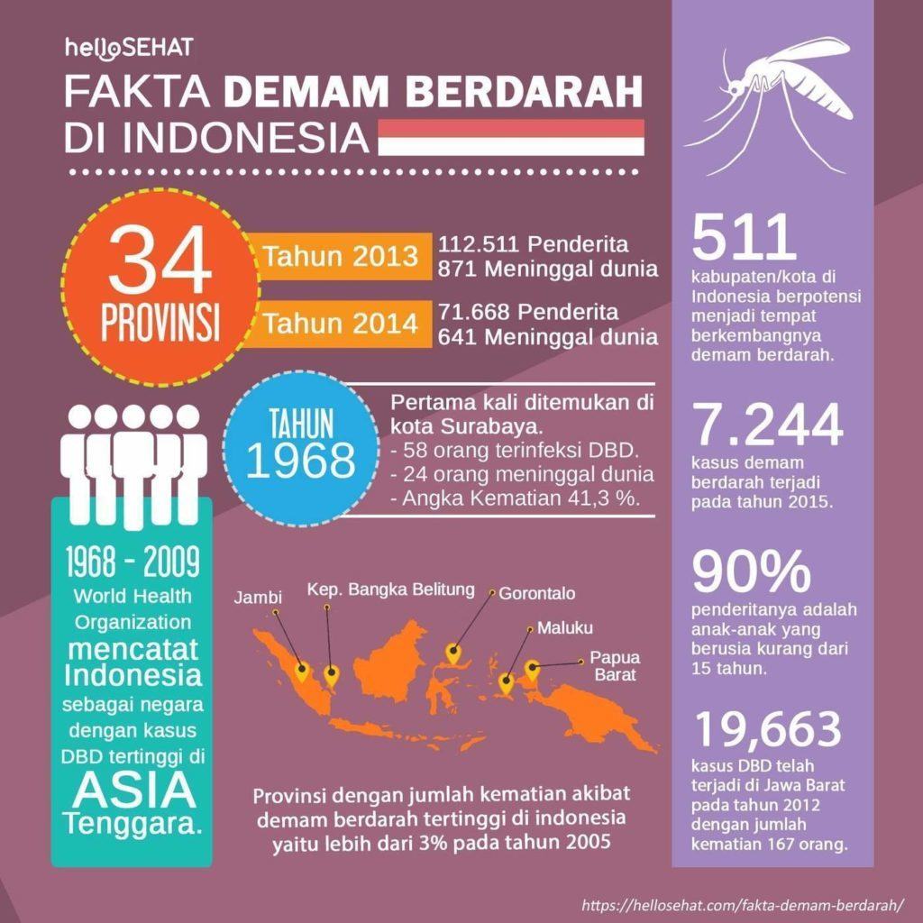 febbre dengue hellosehat in Indonesia